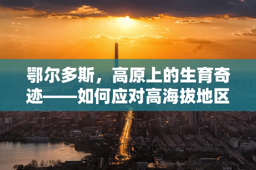 鄂尔多斯，高原上的生育奇迹——如何应对高海拔地区孕产妇的特殊挑战？