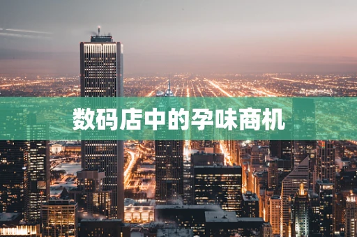 数码店中的孕味商机