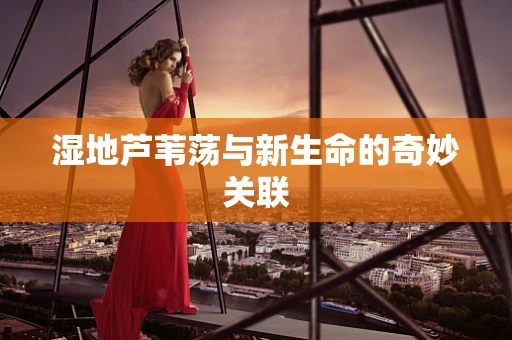 湿地芦苇荡与新生命的奇妙关联