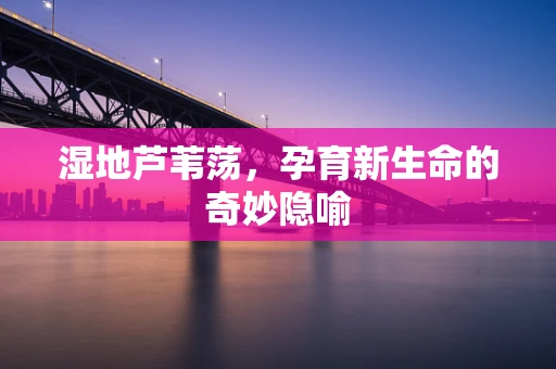 湿地芦苇荡，孕育新生命的奇妙隐喻