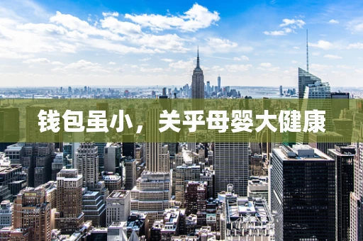 钱包虽小，关乎母婴大健康