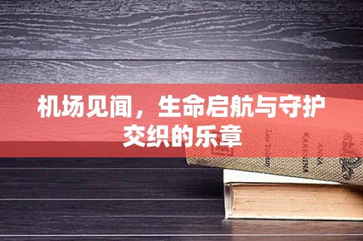 机场见闻，生命启航与守护交织的乐章