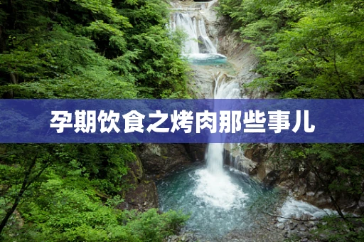 孕期饮食之烤肉那些事儿