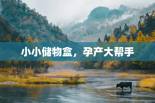 小小储物盒，孕产大帮手