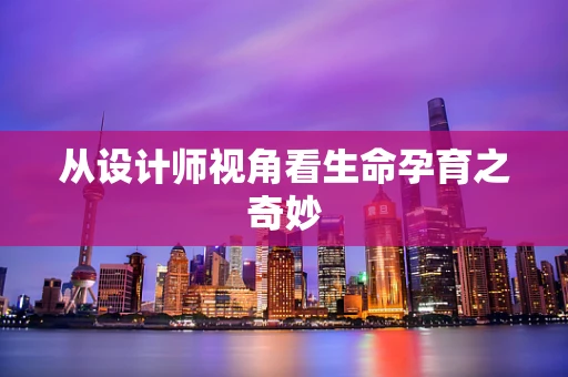 从设计师视角看生命孕育之奇妙