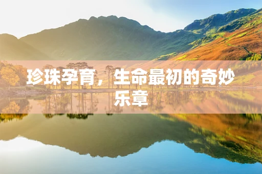 珍珠孕育，生命最初的奇妙乐章