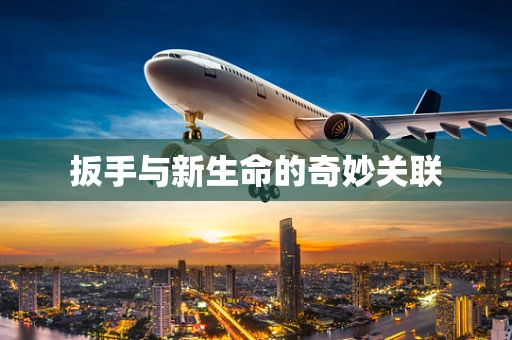 扳手与新生命的奇妙关联