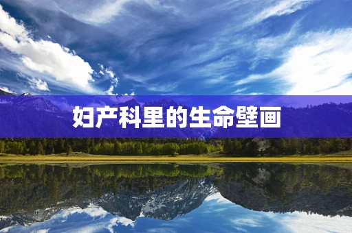 妇产科里的生命壁画