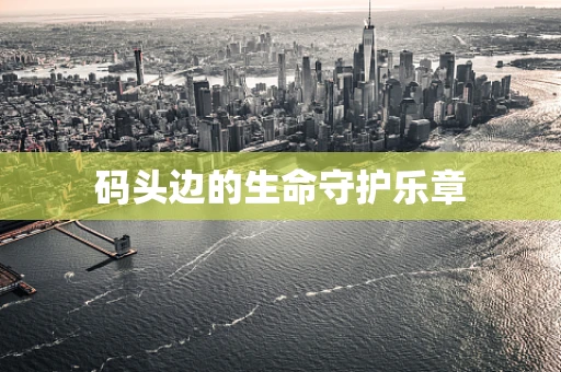码头边的生命守护乐章