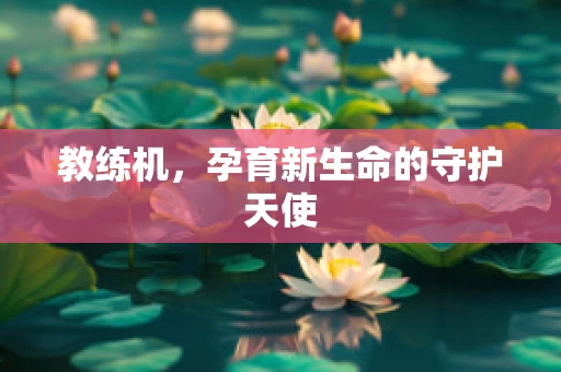 教练机，孕育新生命的守护天使