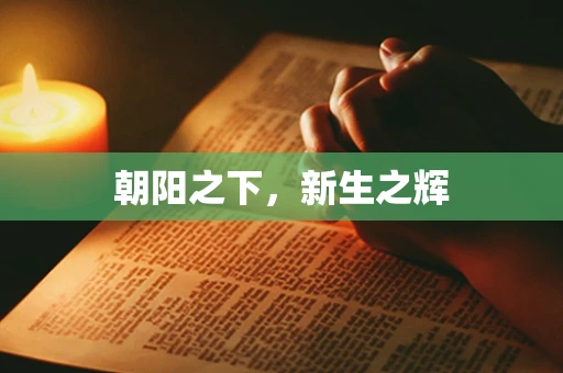 朝阳之下，新生之辉