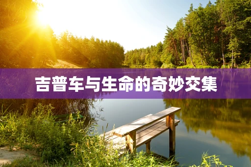 吉普车与生命的奇妙交集