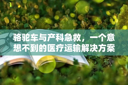 骆驼车与产科急救，一个意想不到的医疗运输解决方案？