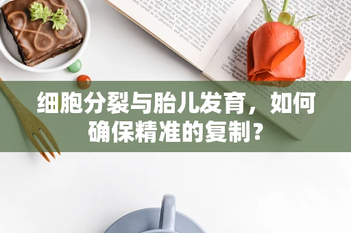 细胞分裂与胎儿发育，如何确保精准的复制？