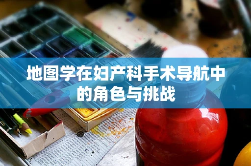 地图学在妇产科手术导航中的角色与挑战