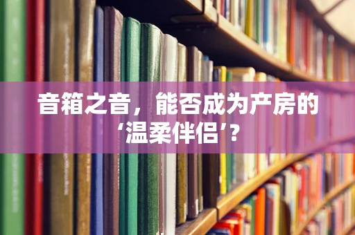 音箱之音，能否成为产房的‘温柔伴侣’？