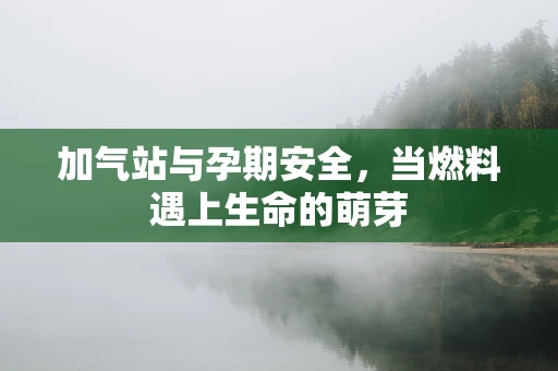 加气站与孕期安全，当燃料遇上生命的萌芽