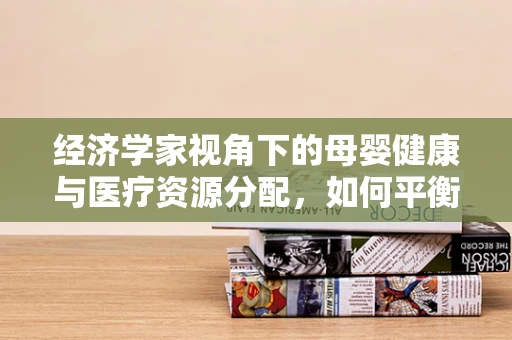 经济学家视角下的母婴健康与医疗资源分配，如何平衡社会效益与经济效益？