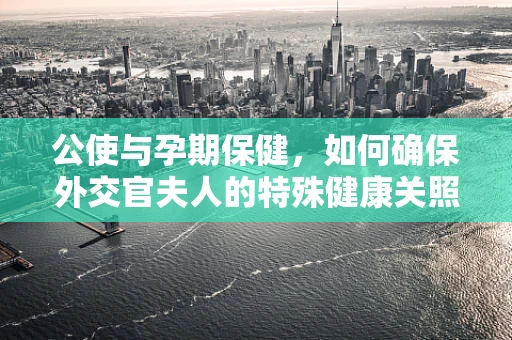 公使与孕期保健，如何确保外交官夫人的特殊健康关照？