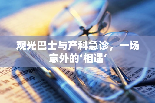 观光巴士与产科急诊，一场意外的‘相遇’