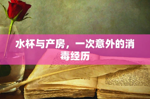 水杯与产房，一次意外的消毒经历