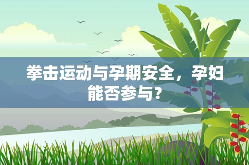 拳击运动与孕期安全，孕妇能否参与？