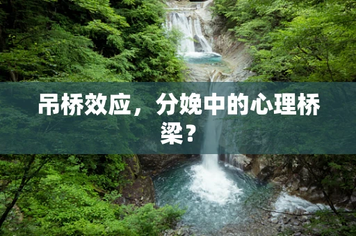 吊桥效应，分娩中的心理桥梁？