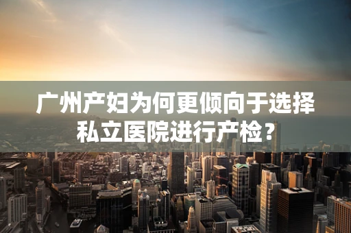 广州产妇为何更倾向于选择私立医院进行产检？