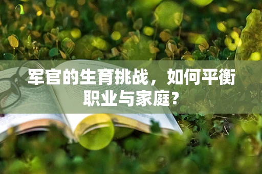 军官的生育挑战，如何平衡职业与家庭？