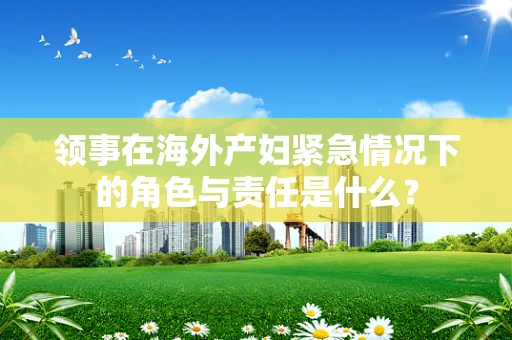 领事在海外产妇紧急情况下的角色与责任是什么？