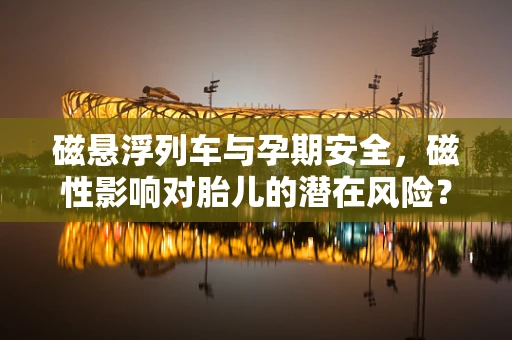 磁悬浮列车与孕期安全，磁性影响对胎儿的潜在风险？