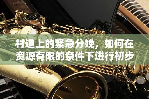 村道上的紧急分娩，如何在资源有限的条件下进行初步接生？