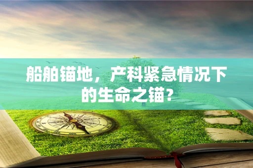 船舶锚地，产科紧急情况下的生命之锚？