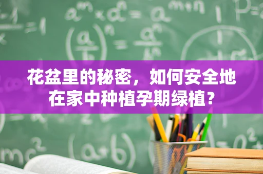 花盆里的秘密，如何安全地在家中种植孕期绿植？