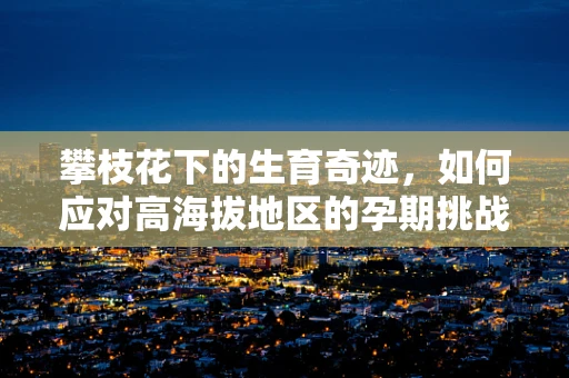 攀枝花下的生育奇迹，如何应对高海拔地区的孕期挑战？