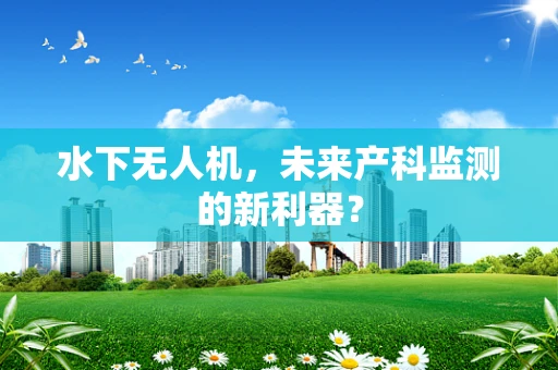 水下无人机，未来产科监测的新利器？