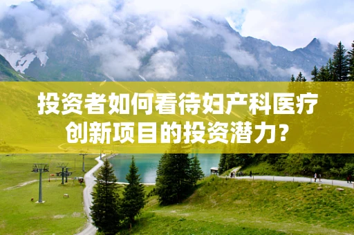 投资者如何看待妇产科医疗创新项目的投资潜力？