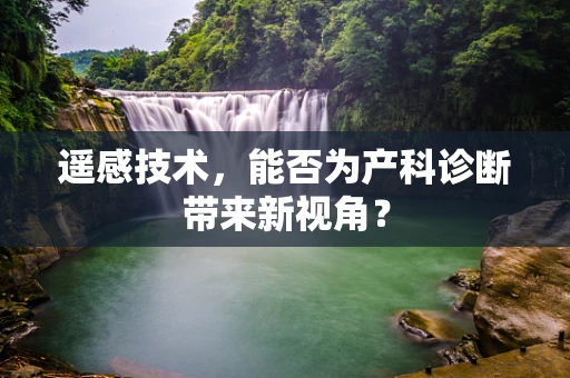 遥感技术，能否为产科诊断带来新视角？