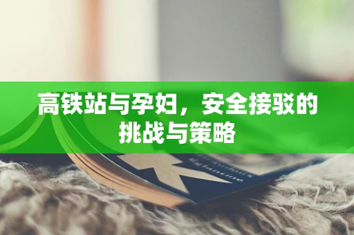 高铁站与孕妇，安全接驳的挑战与策略