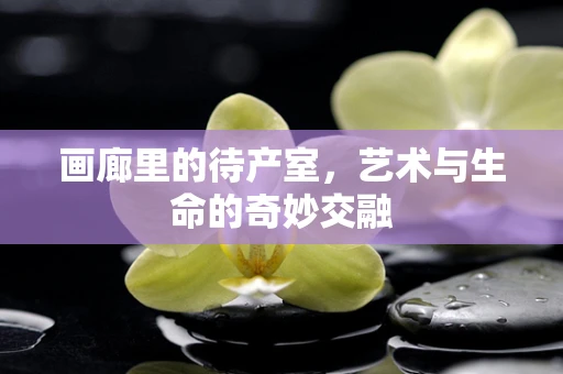 画廊里的待产室，艺术与生命的奇妙交融