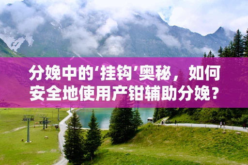 分娩中的‘挂钩’奥秘，如何安全地使用产钳辅助分娩？