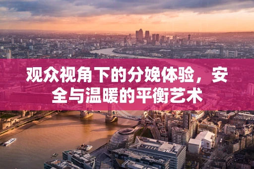 观众视角下的分娩体验，安全与温暖的平衡艺术
