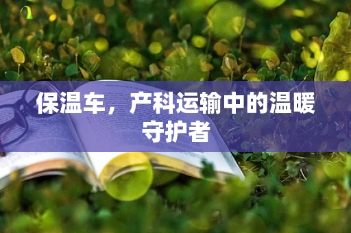 保温车，产科运输中的温暖守护者