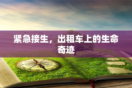 紧急接生，出租车上的生命奇迹