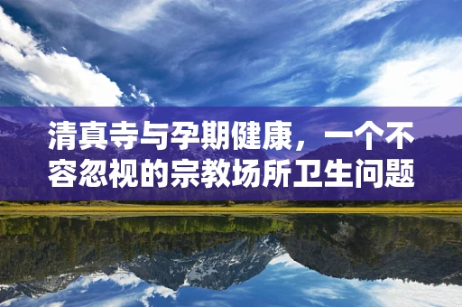 清真寺与孕期健康，一个不容忽视的宗教场所卫生问题