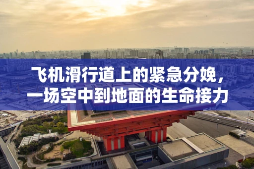 飞机滑行道上的紧急分娩，一场空中到地面的生命接力