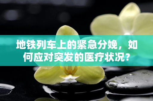 地铁列车上的紧急分娩，如何应对突发的医疗状况？