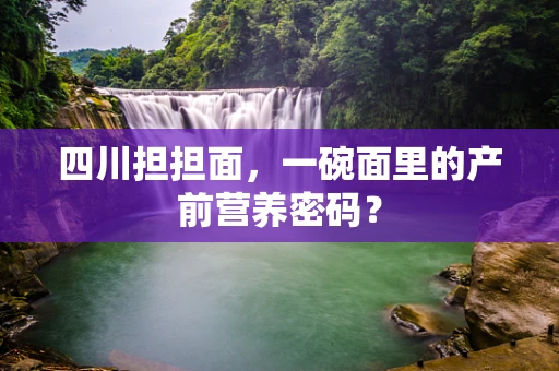 四川担担面，一碗面里的产前营养密码？
