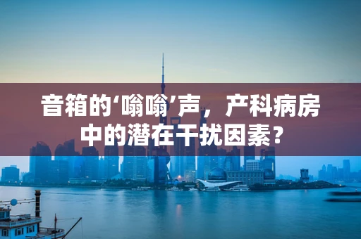 音箱的‘嗡嗡’声，产科病房中的潜在干扰因素？