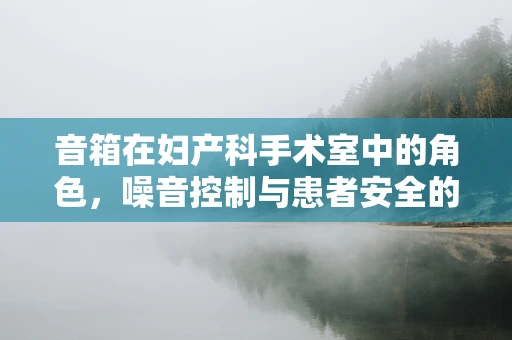 音箱在妇产科手术室中的角色，噪音控制与患者安全的微妙平衡